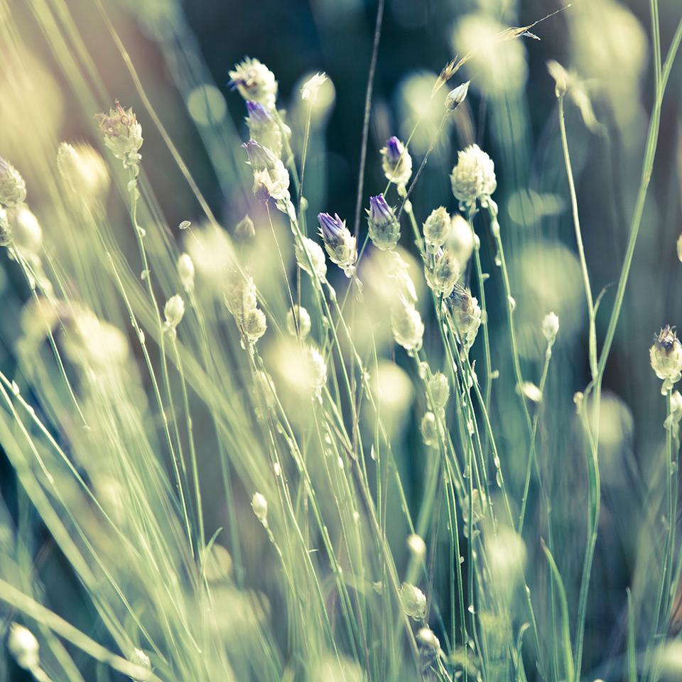 unnamed image